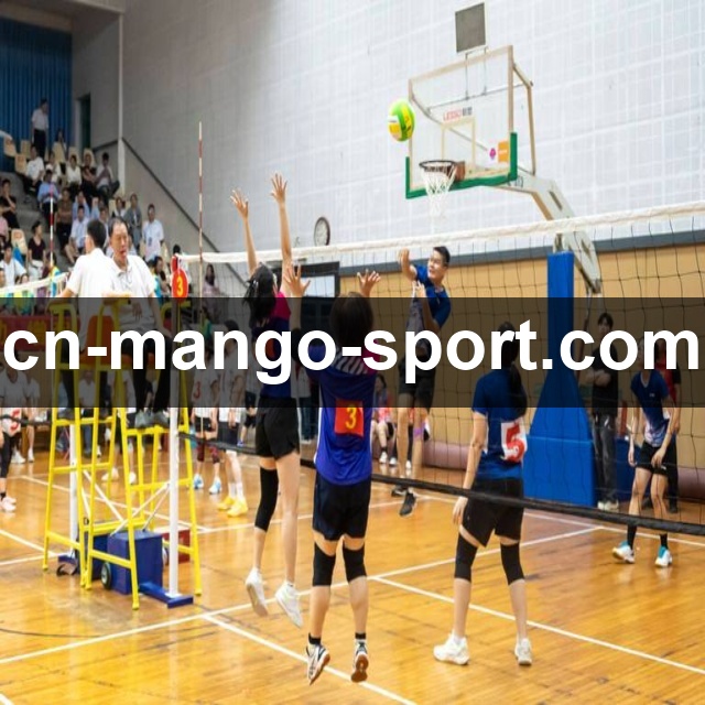 芒果体育App预览